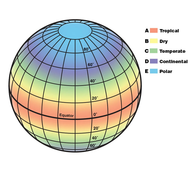 How to maintain your garden while in a dry climate zone