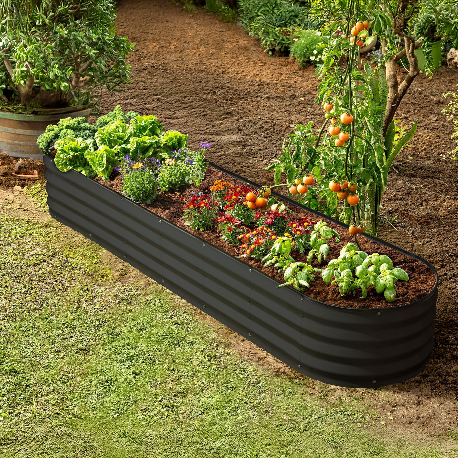 8x2x1 ft Black Oval Raised Garden Bed