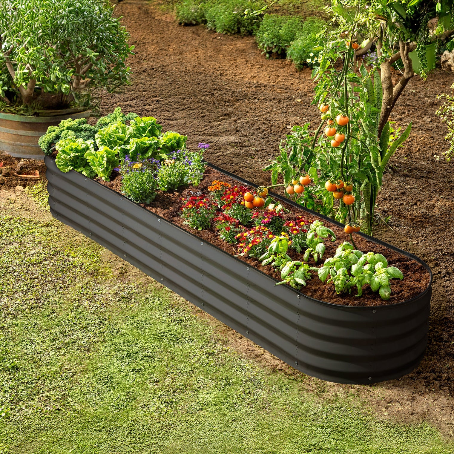8x2x1 ft Gray Oval Raised Garden Bed