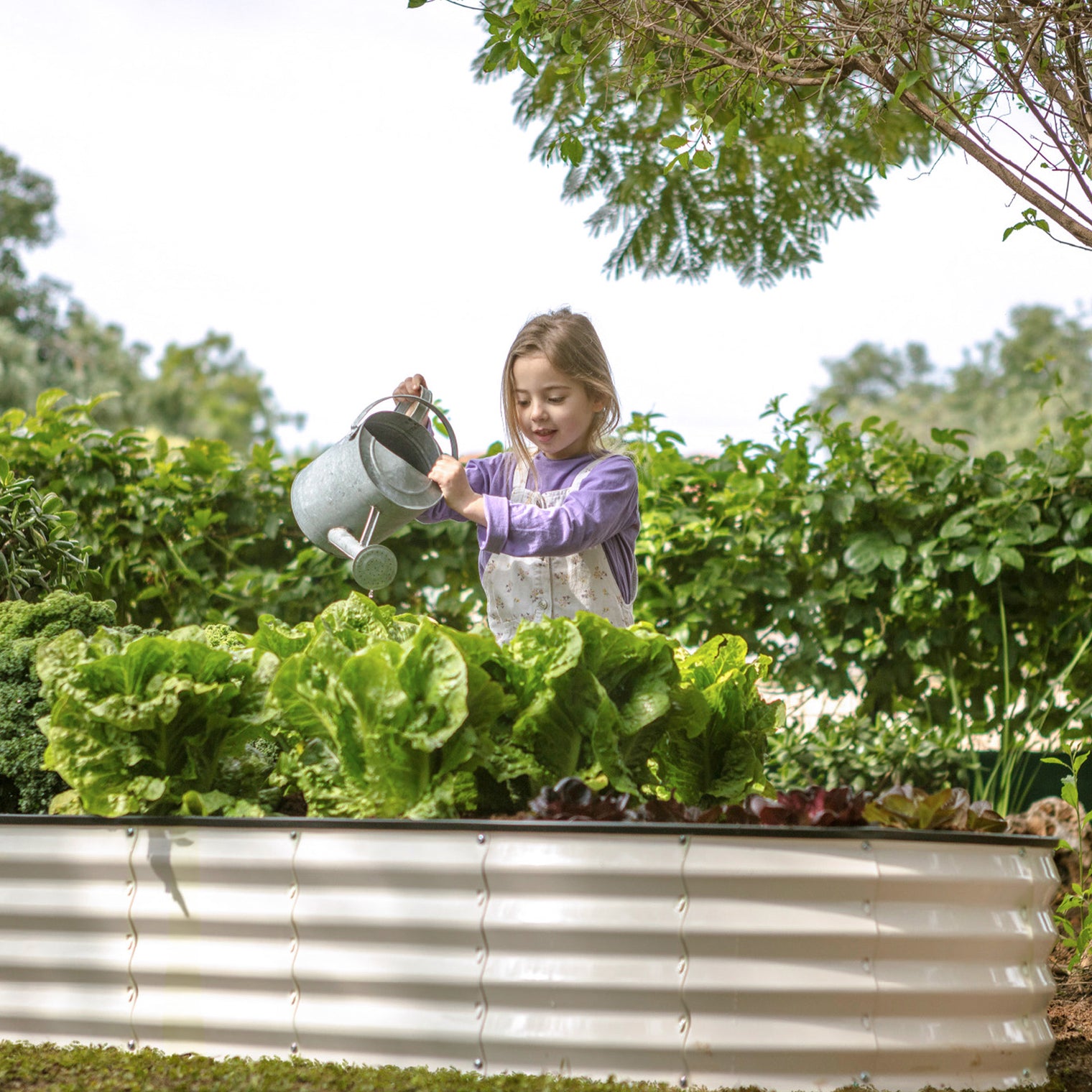 8x4x1 ft White Oval Raised Garden Bed