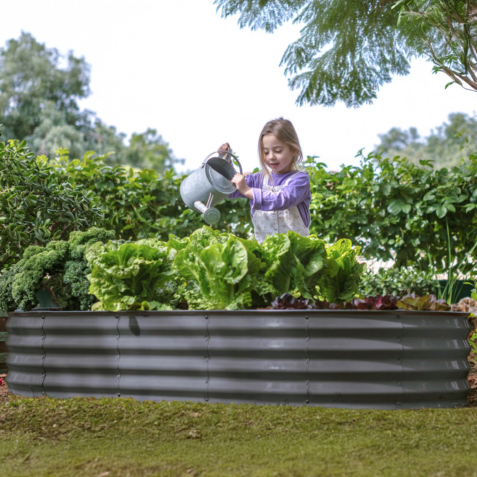 6x3x1 ft Gray Oval Raised Garden Bed