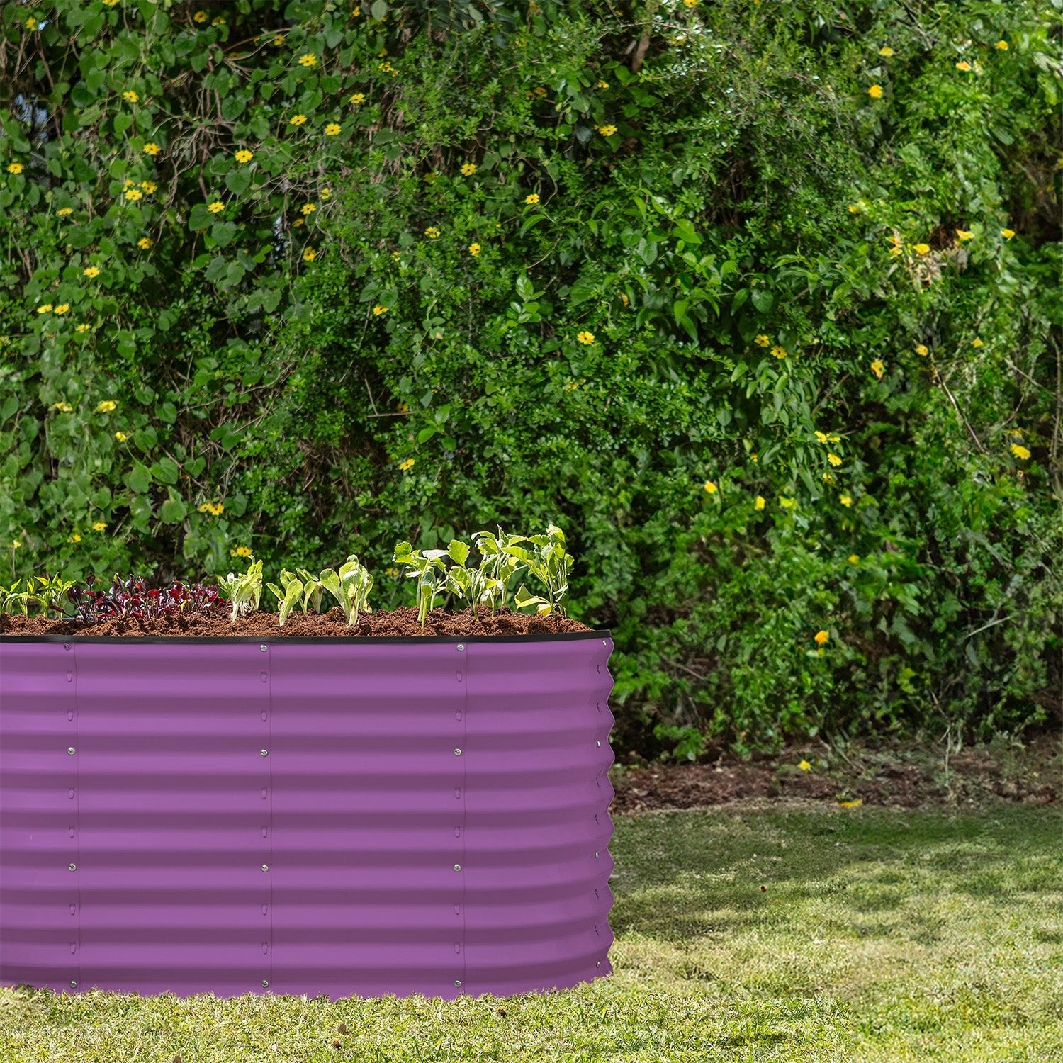 8x2x2 Purple Oval Raised Garden Bed