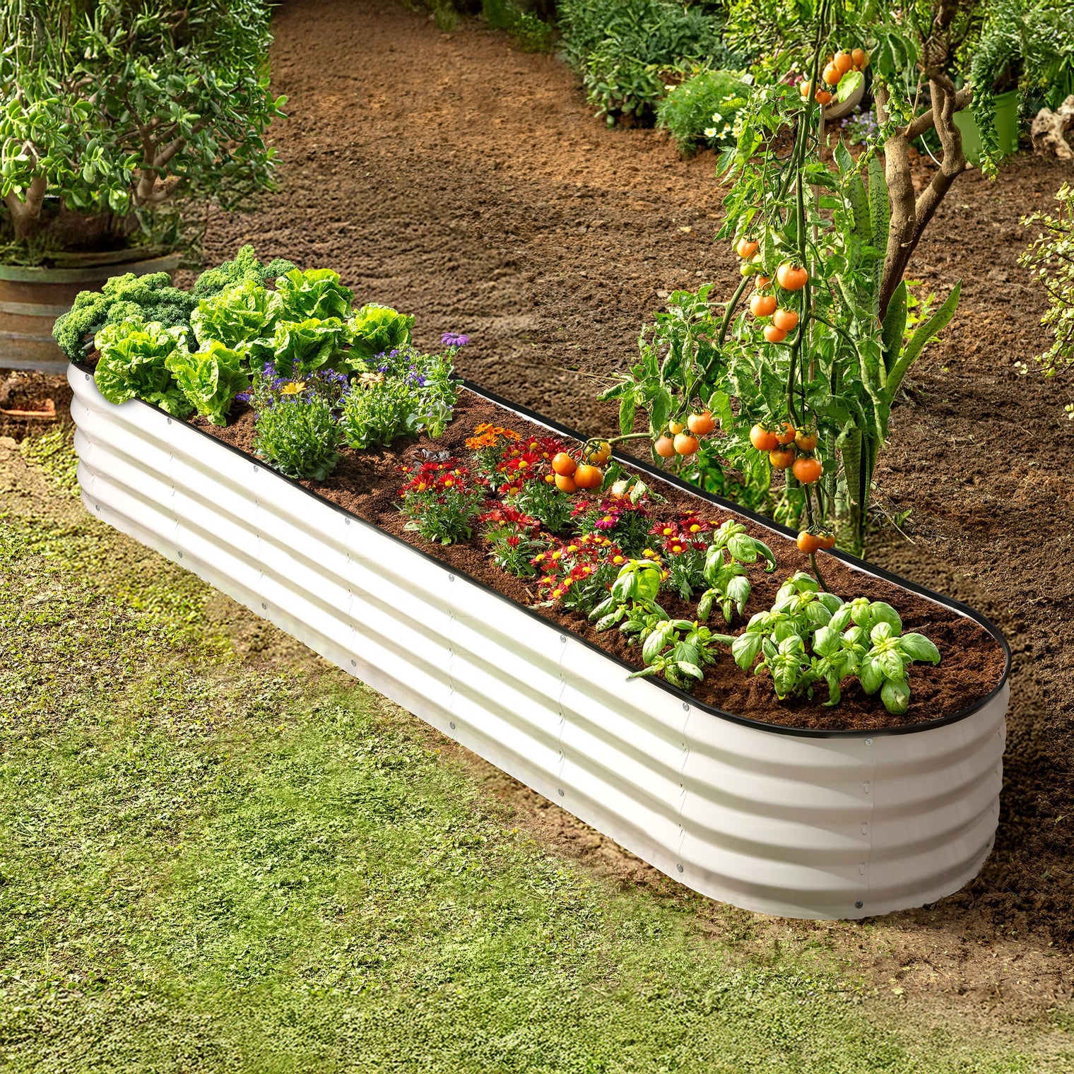 8x2x1 ft White Oval Raised Garden Bed