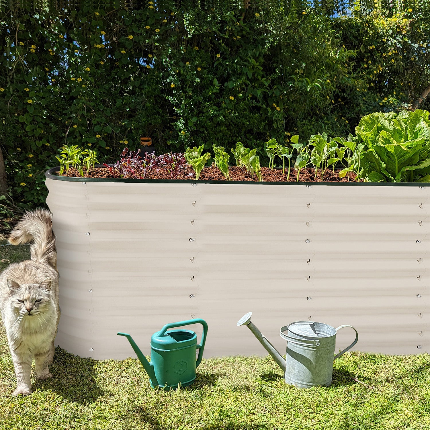 6x2x2 ft White Oval Raised Garden Bed