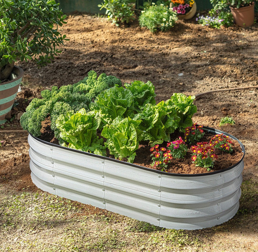 raised garden beds outdoor