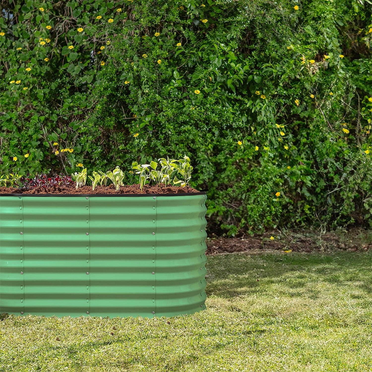 metal raised beds for gardening in green