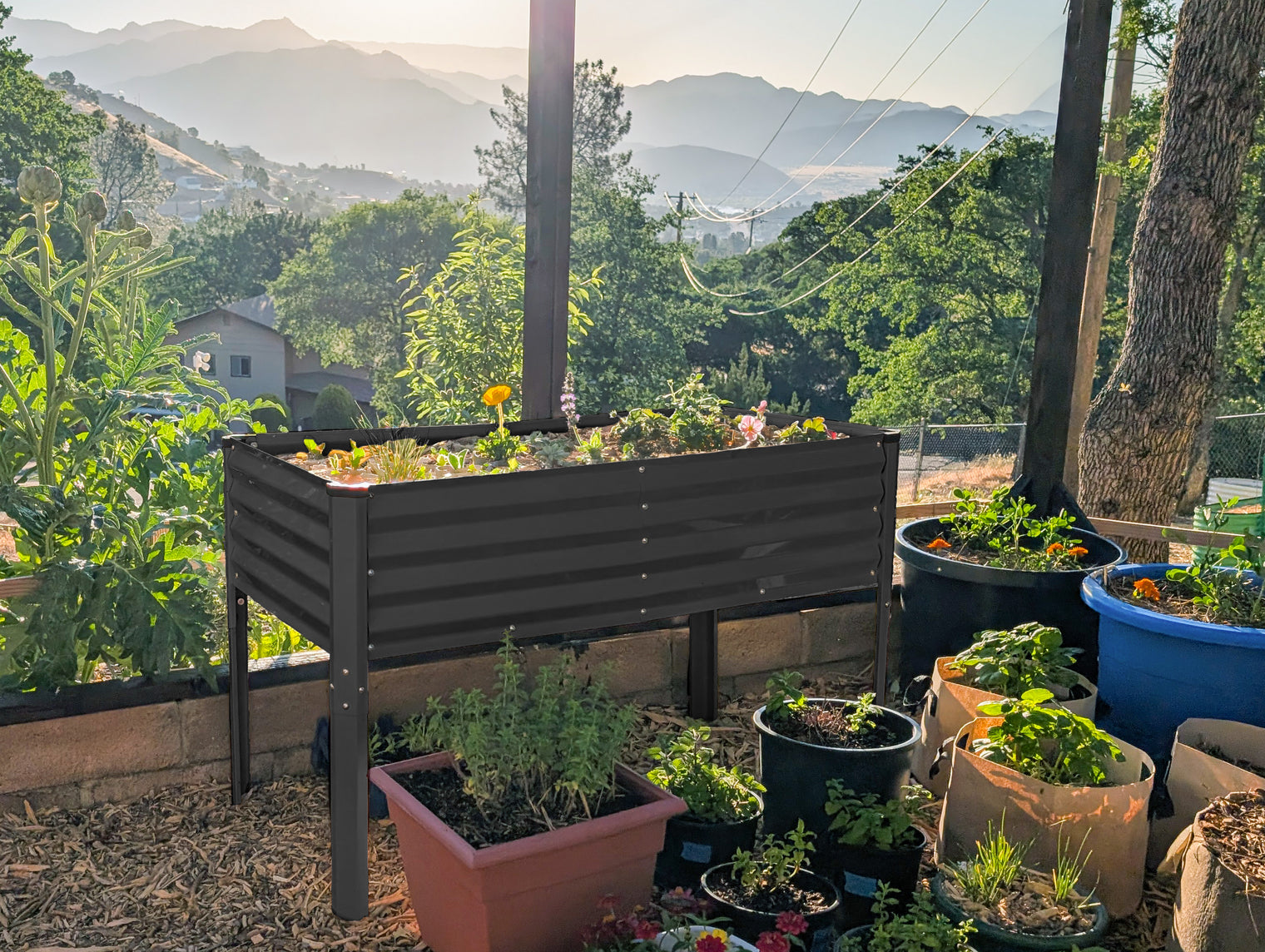 Raised Garden Beds with Legs in Black