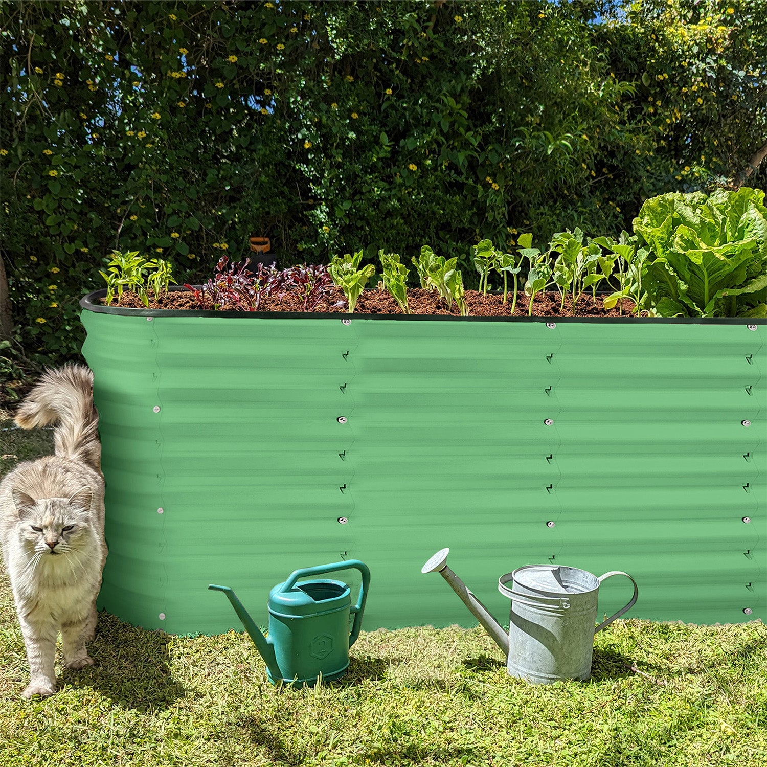 6x2x2 ft Light Green Oval Raised Garden Bed