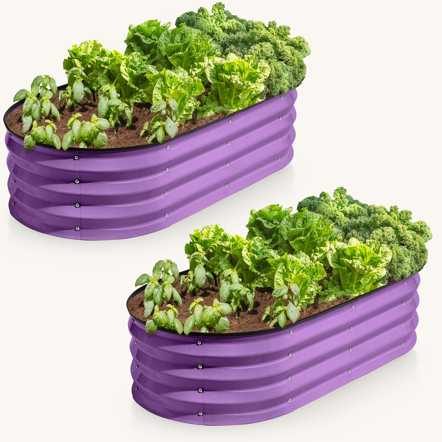 4x2x1 ft Purple 2 Pcs Raised Garden Bed