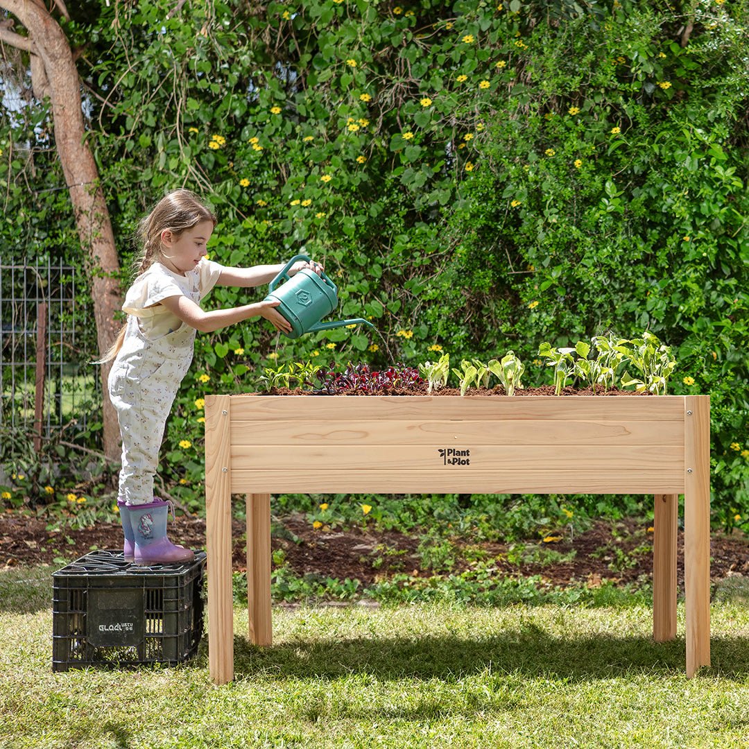 garden boxes outdoor raised