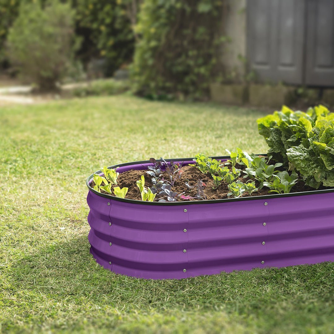 raised beds for gardening vegetables