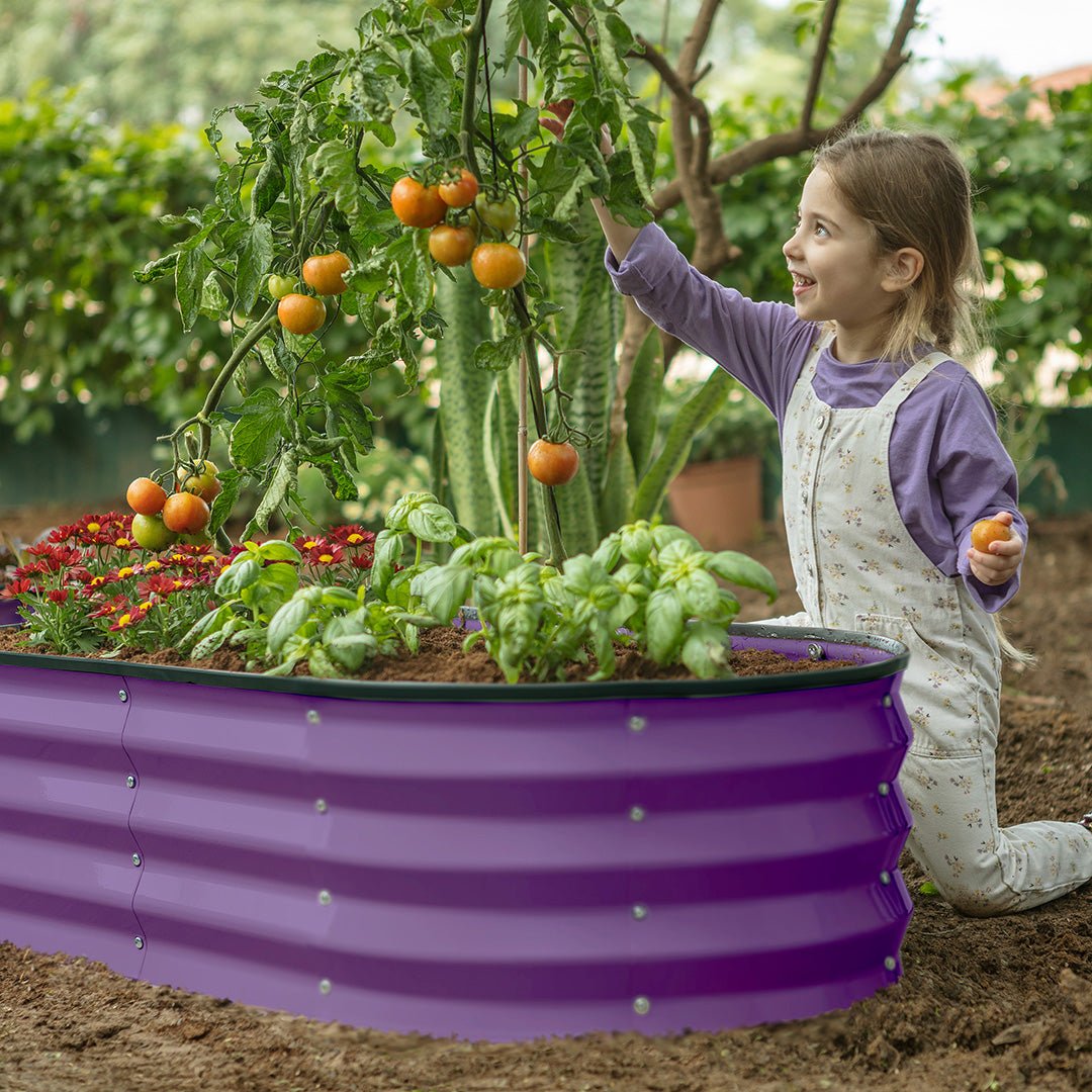 raised garden beds outdoor