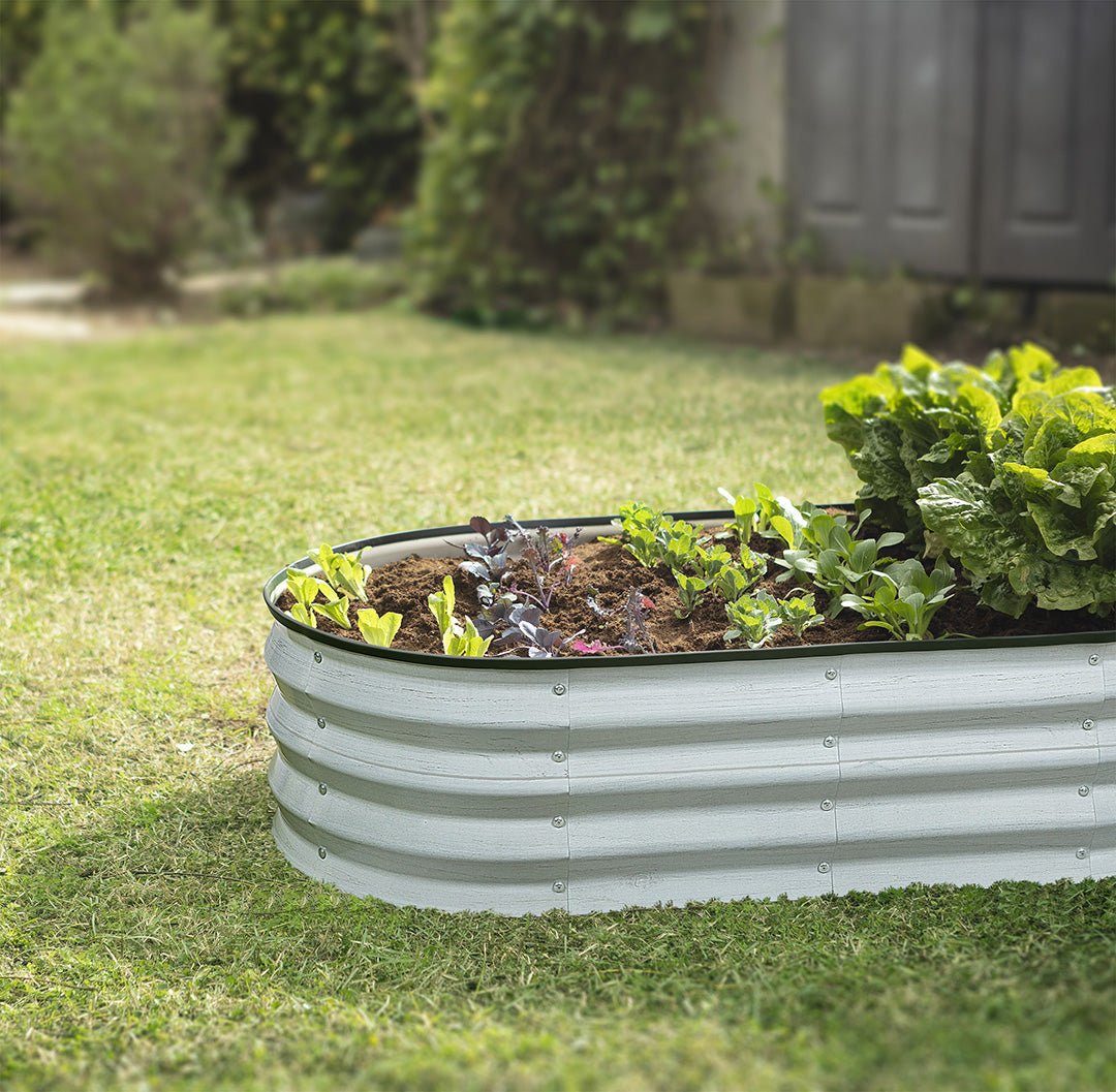 raised garden beds outdoor