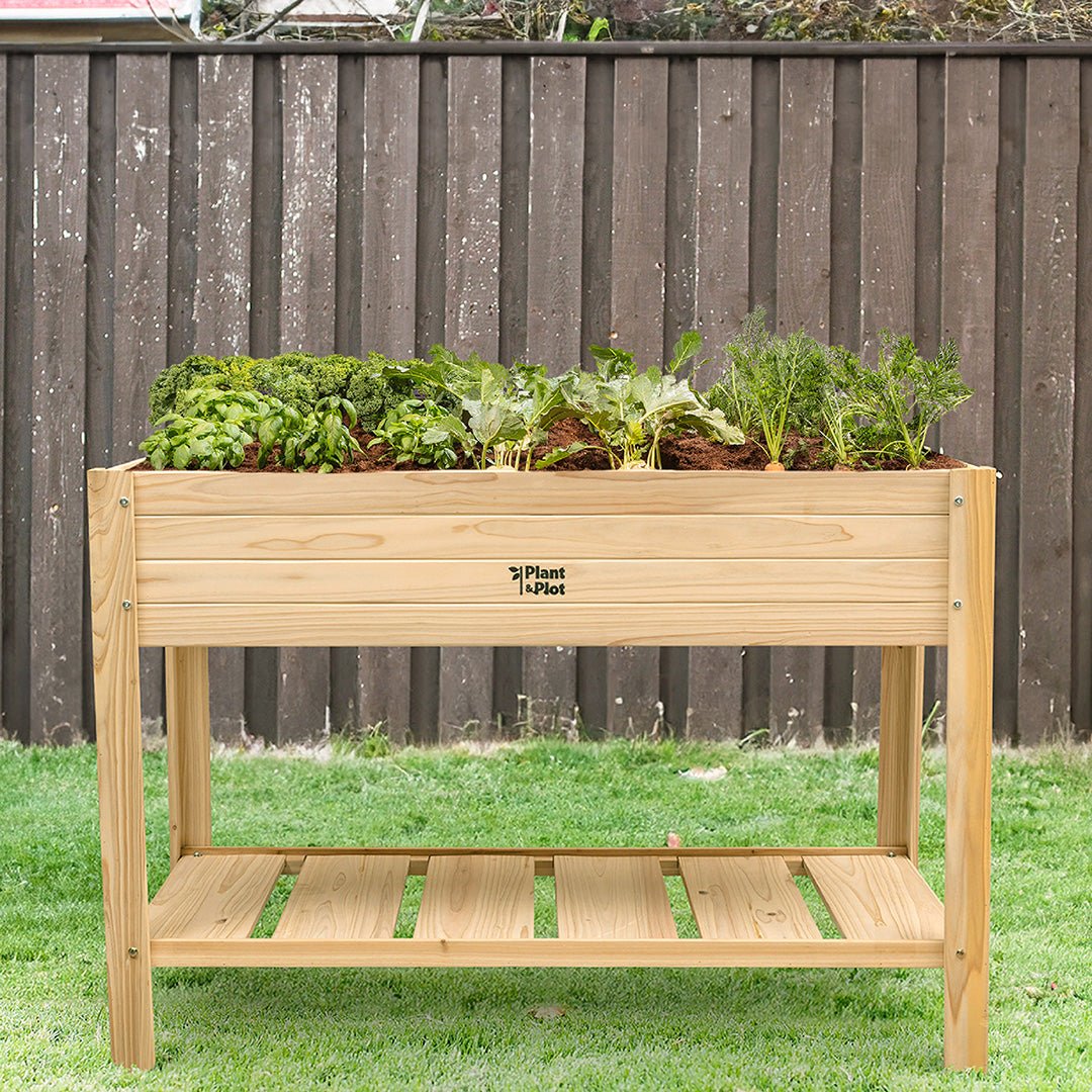 raised beds for gardening vegetables