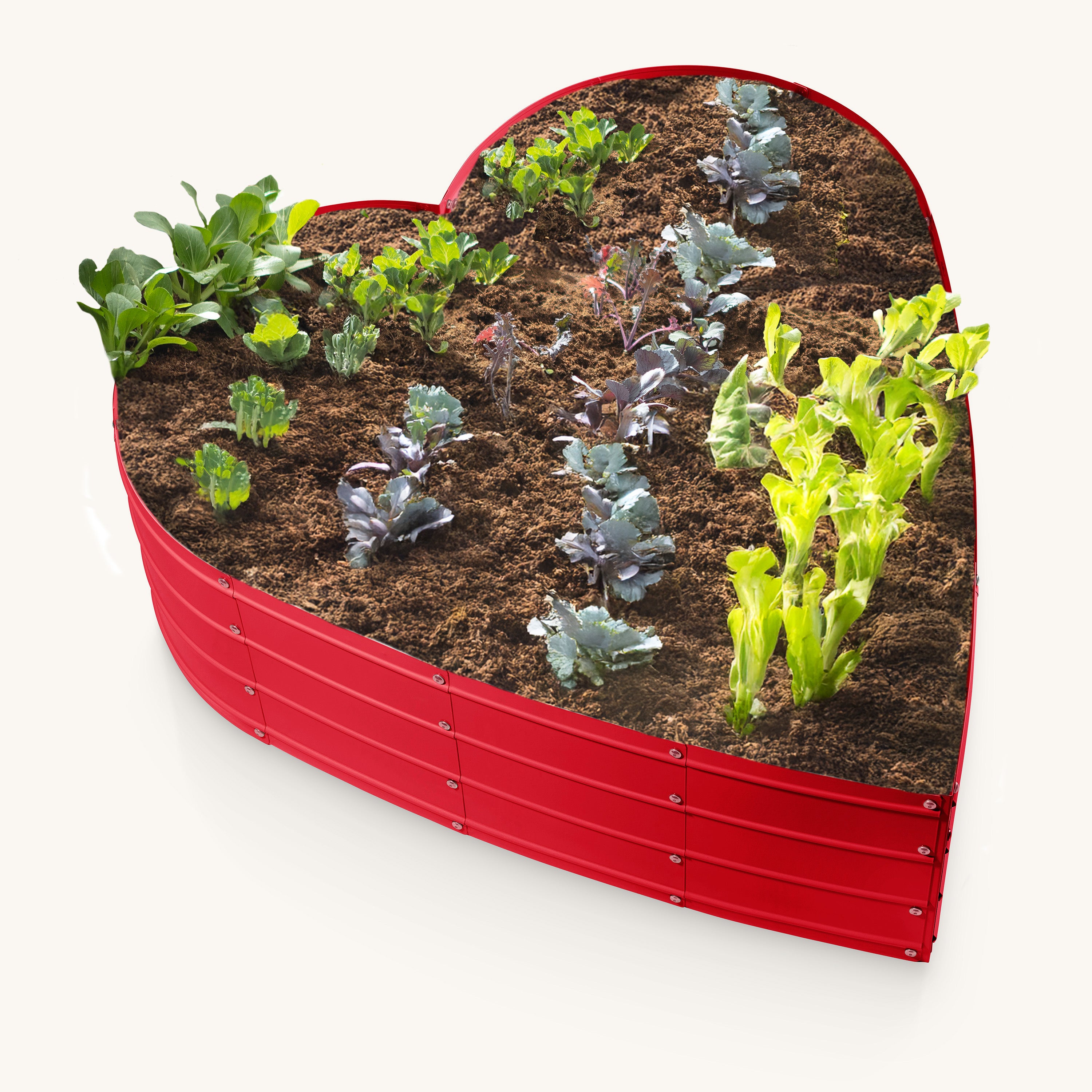 3x3x1 ft Red Heart Shaped Raised Garden Bed – Plant & Plot