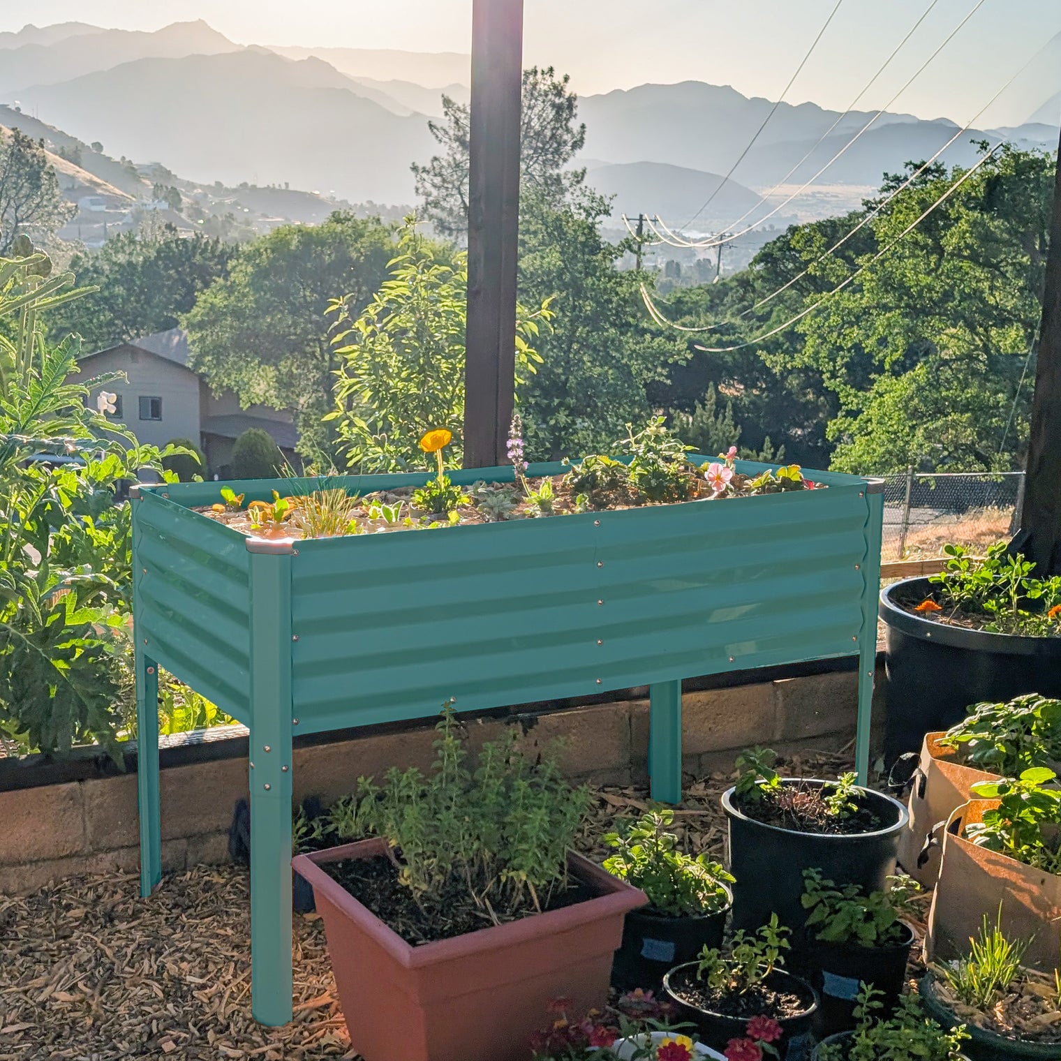 Raised Garden Beds with Legs in Turquoise