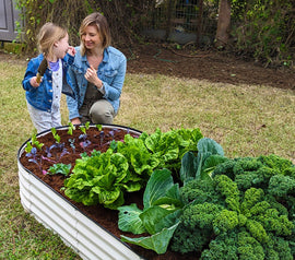 Easy herbs to garden for beginners and kids