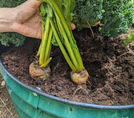 What is composting and why is it important for your garden?