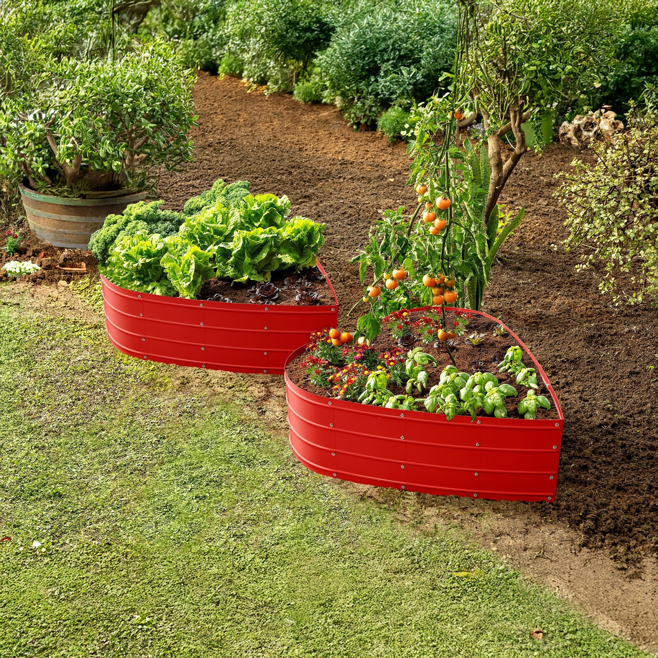 3x3x1 ft Red Heart Shaped Raised Garden Bed – Plant & Plot