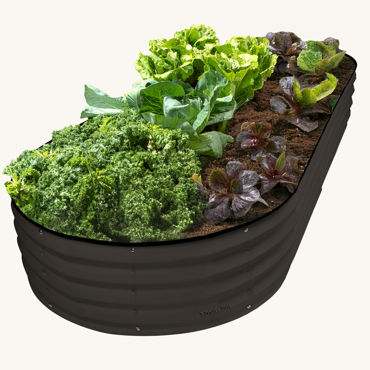 8x4x1 ft Black Oval Raised Garden Bed – Plant & Plot