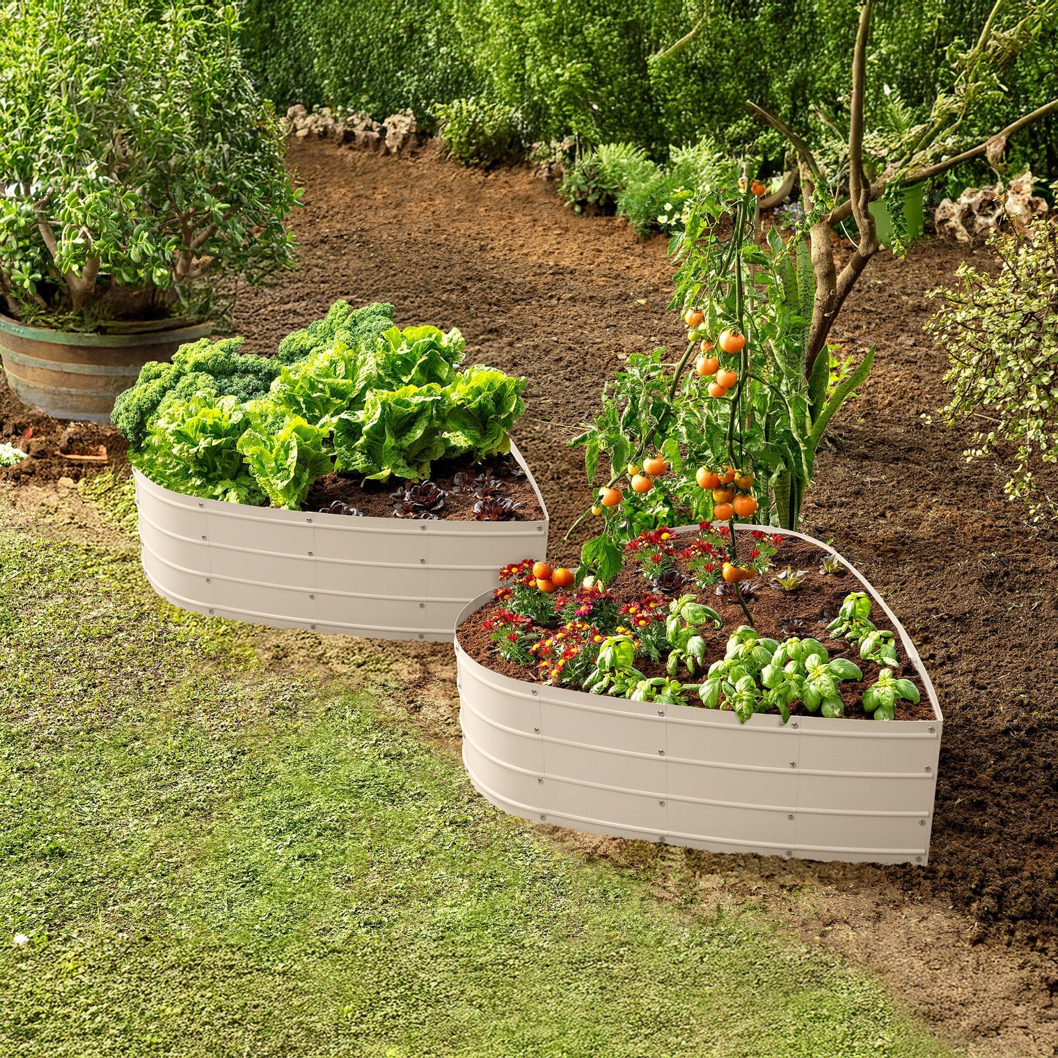 3x3x1 ft White Heart Shaped Raised Garden Bed