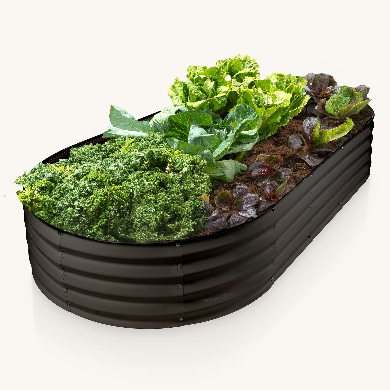 6x3x1 ft  Black Oval Raised Garden Bed