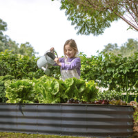 8x4x1 ft Gray Oval Raised Garden Bed