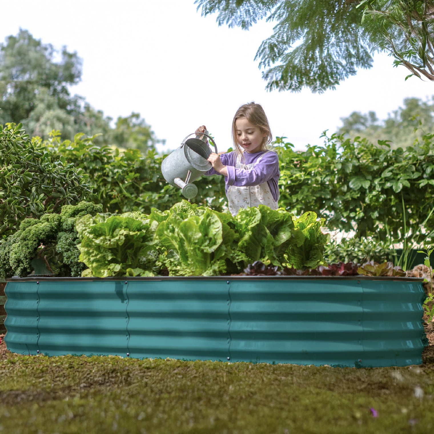 6x3x1 ft 2 Pcs Turquoise Oval Raised Garden Bed