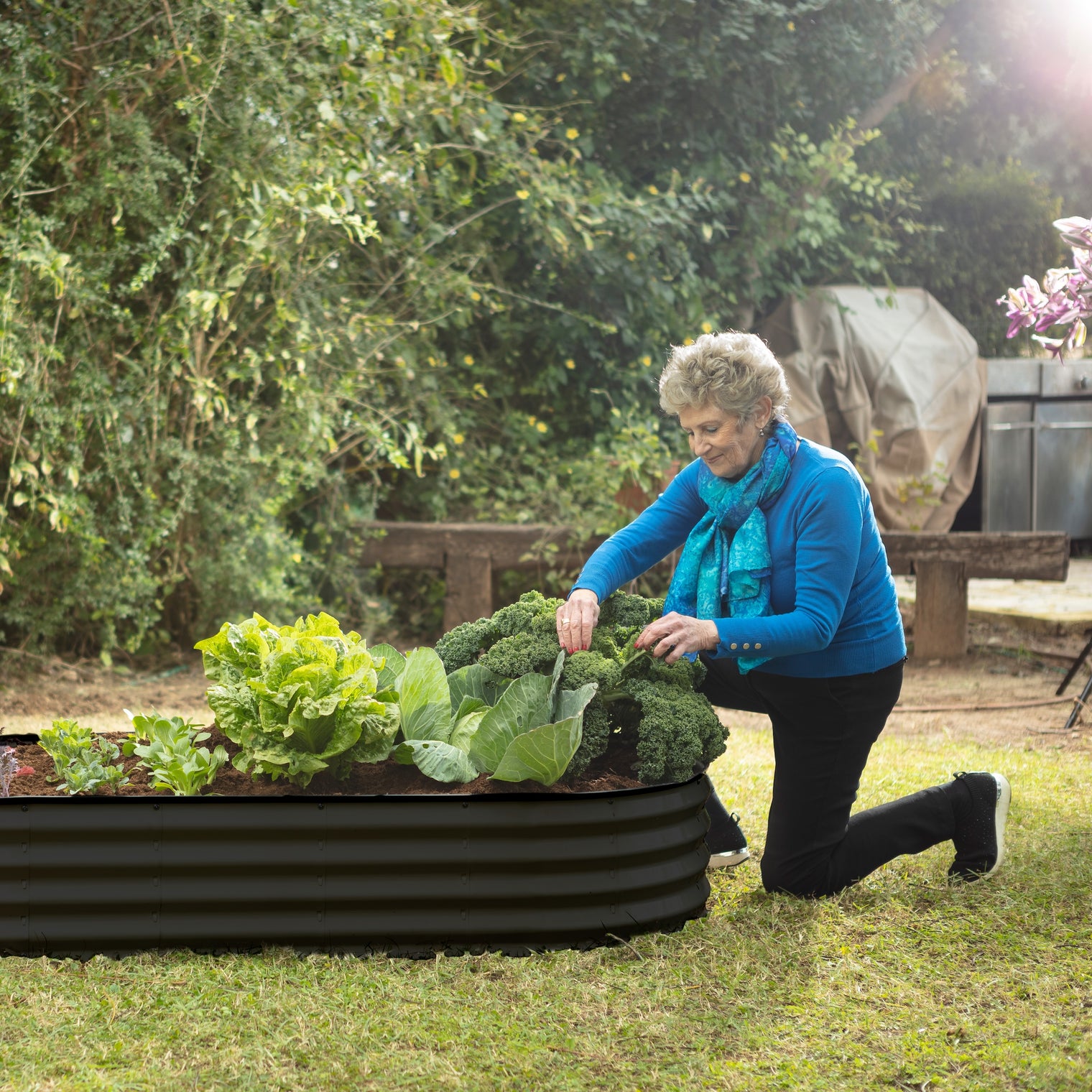 6x3x1 ft 2 Pcs Black Oval Raised Garden Bed