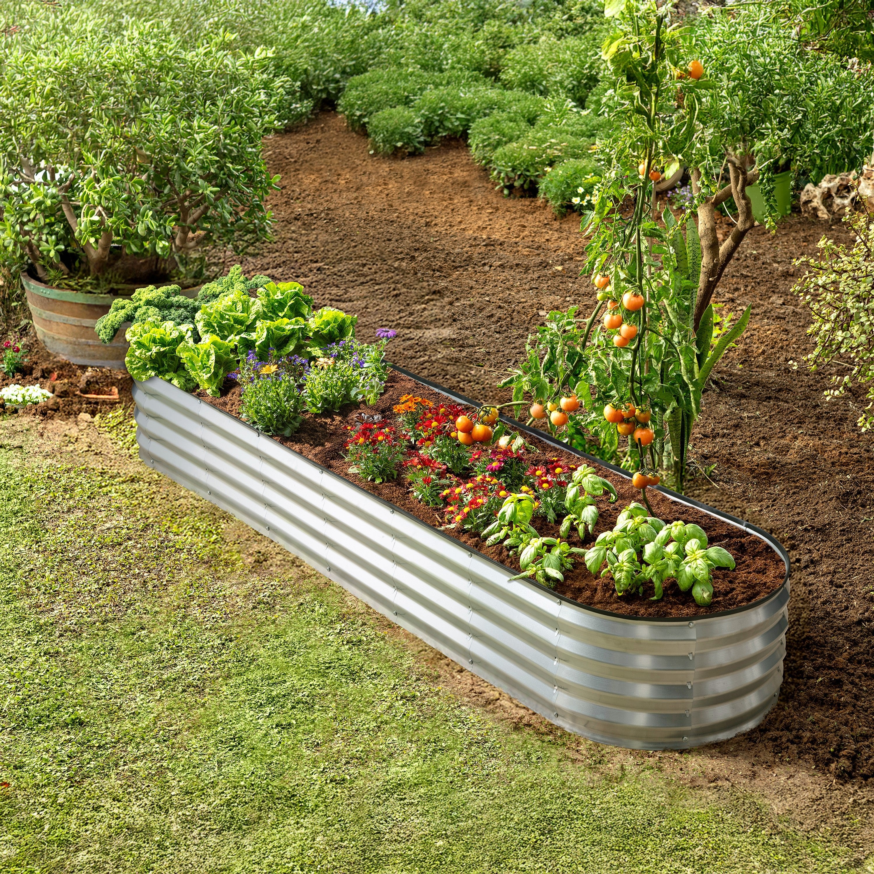 置物 NEIGHBORHOOD SRL GARDEN BED 8x2x1 ft Silver Oval Raised Garden Bed – Plant & Plot