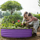 Galvanized Raised Garden Beds Outdoor Planter