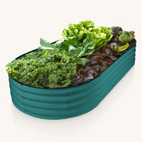 6x3x1 ft Turquoise Oval Raised Garden Bed