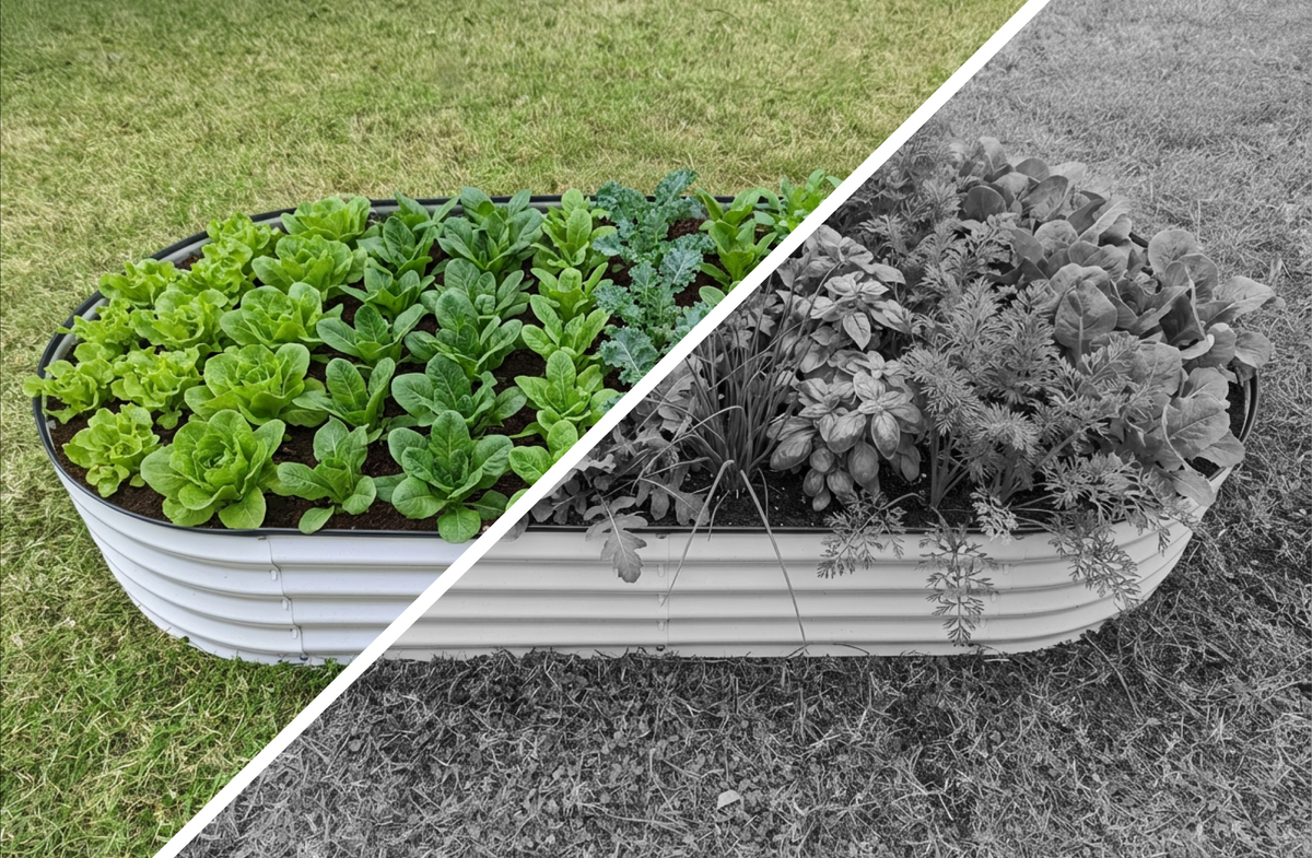 garden seed spacer Seedling Spacer Tool