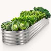 8x2x1 ft Silver Oval Raised Garden Bed