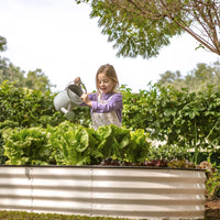 6 ft galvanized raised garden bed