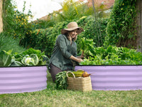 4x4x1 ft Lavender 2 Pcs Raised Garden Bed
