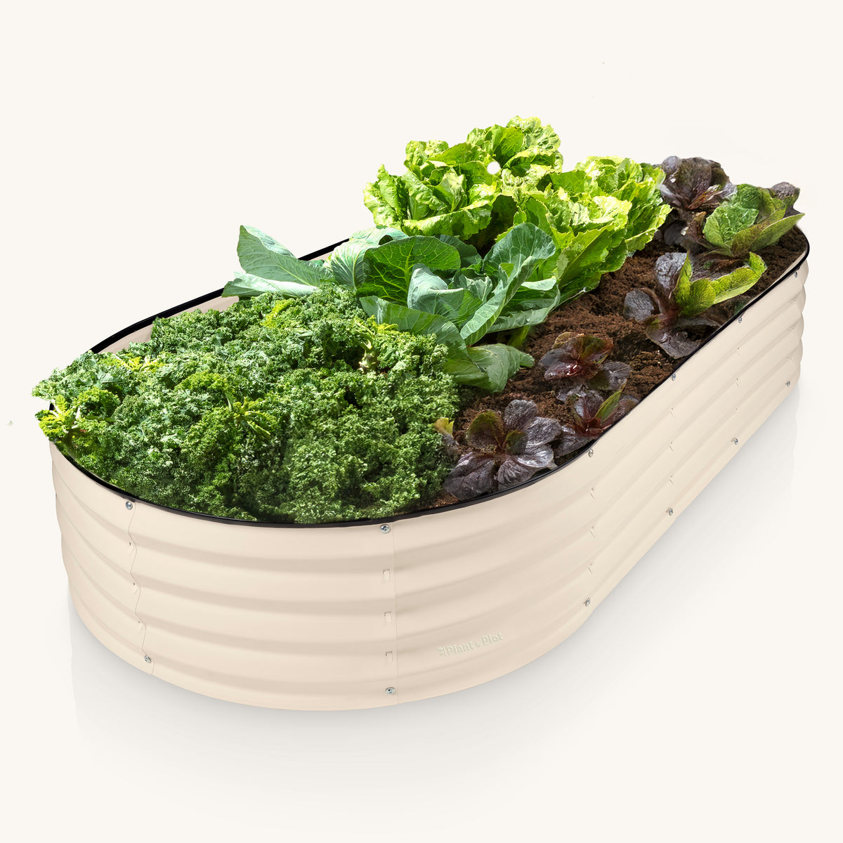 6x3x1 ft White Oval Raised Garden Bed – Plant & Plot