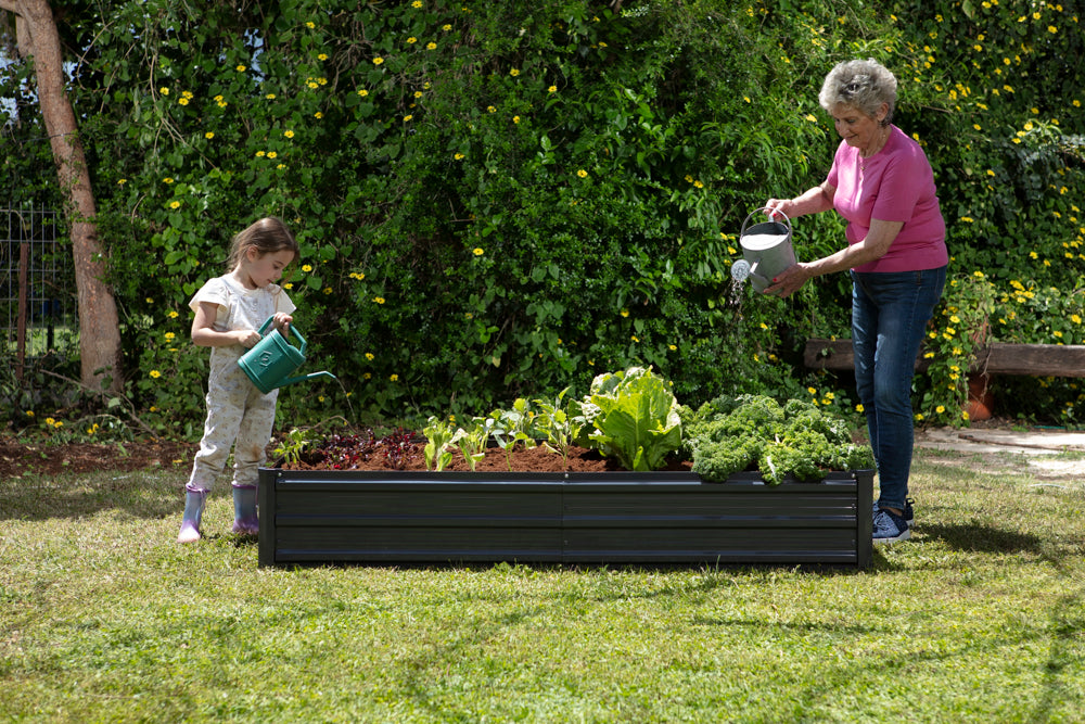Rectangular Planting Row Rectangle – Plant & Plot