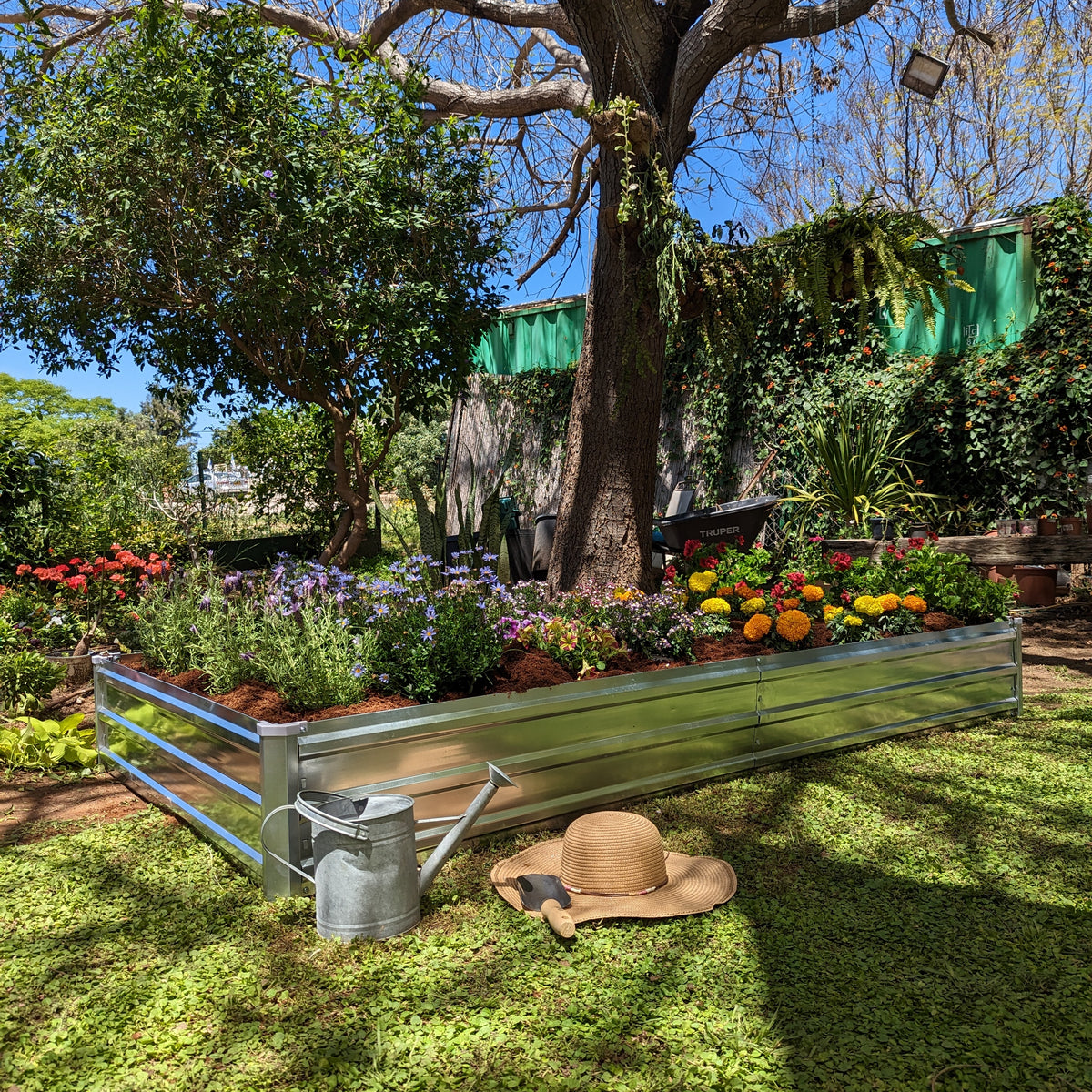 Rectangular Planting Row Rectangle – Plant & Plot