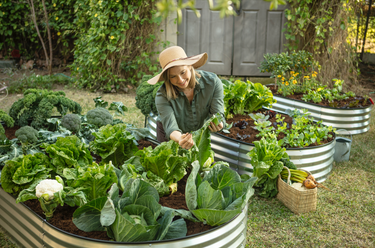 oval raised garden beds