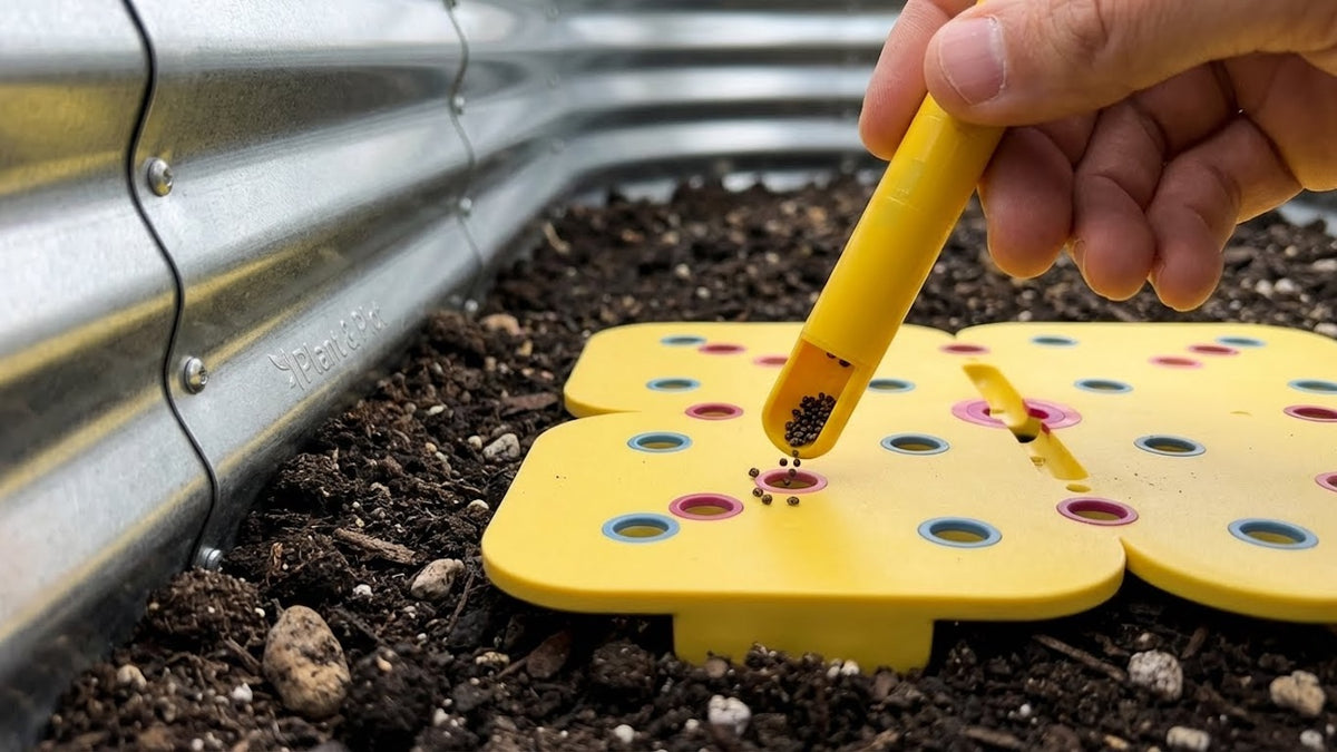 seed planting grid Seedling Spacer Tool