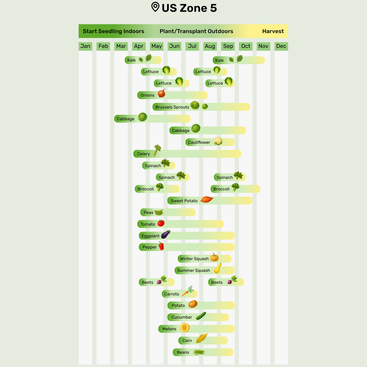 Seed Grid – Plant & Plot
