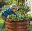 raised beds for gardening