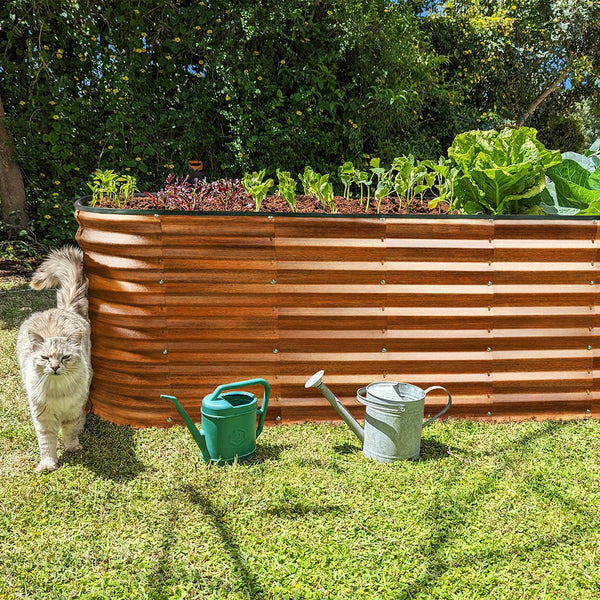 planters for outdoor plants