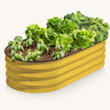 yellow galvanized raised garden bed