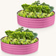 planter boxes outdoor in pink