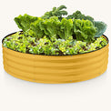 yellow galvanized raised garden bed with plants