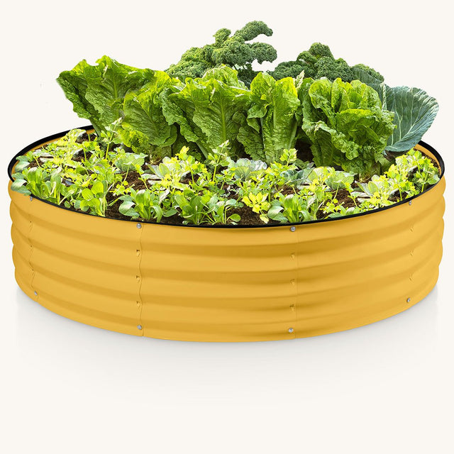 yellow galvanized raised garden bed with plants