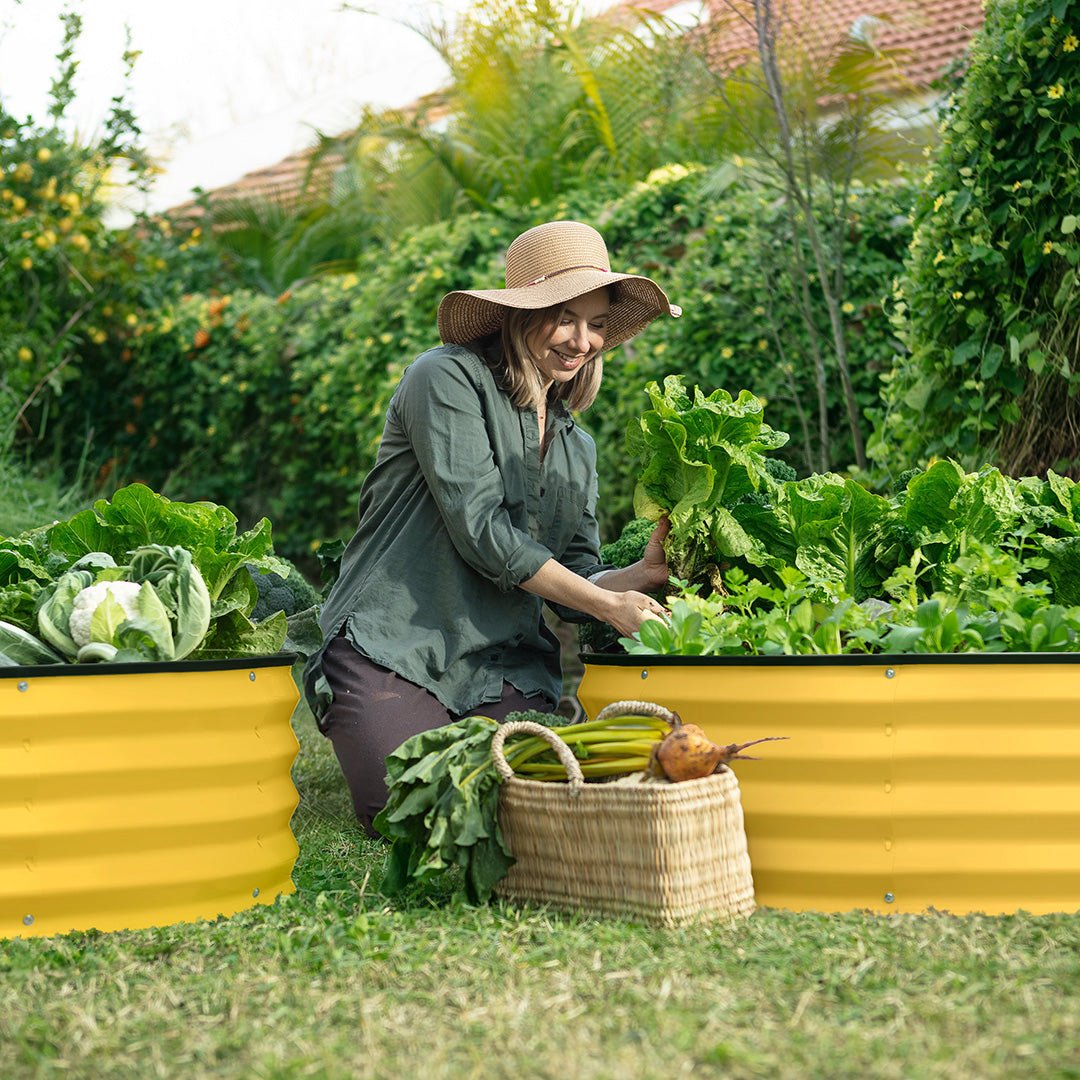 woman planting with a yellow galvanized raised garden bed