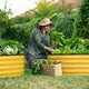 woman planting with a yellow galvanized raised garden bed